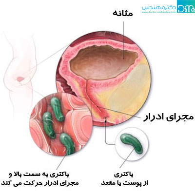 elat ofonat haye edrari