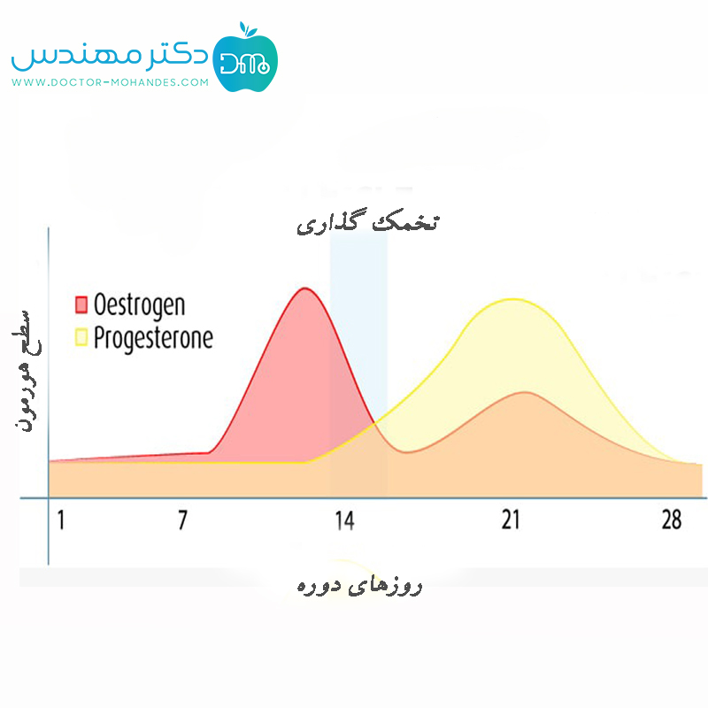 استروژن