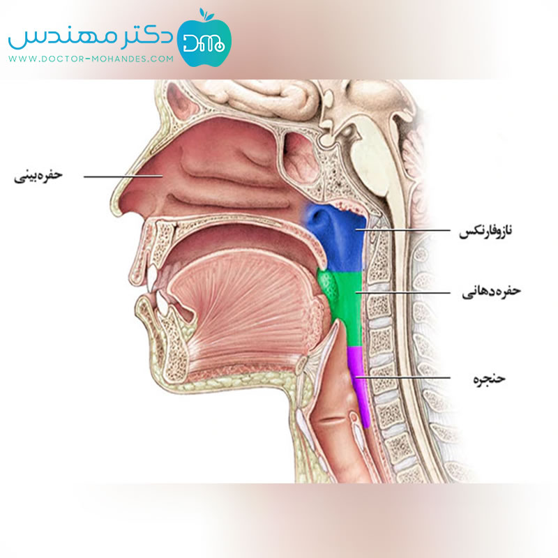 حمممپد